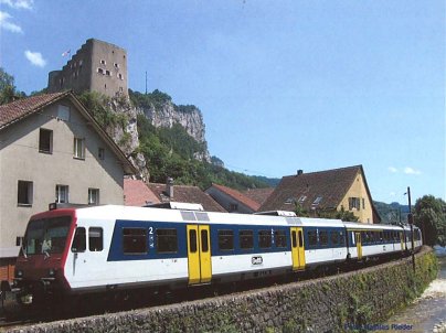 [3-teilige NPZ-Komposition mit Schloss Alt Falkenstein im Hintergrund .]