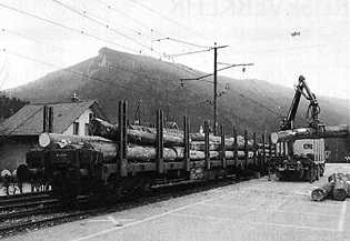 [Holzverlad auf dem Freiladeplatz in Balsthal]